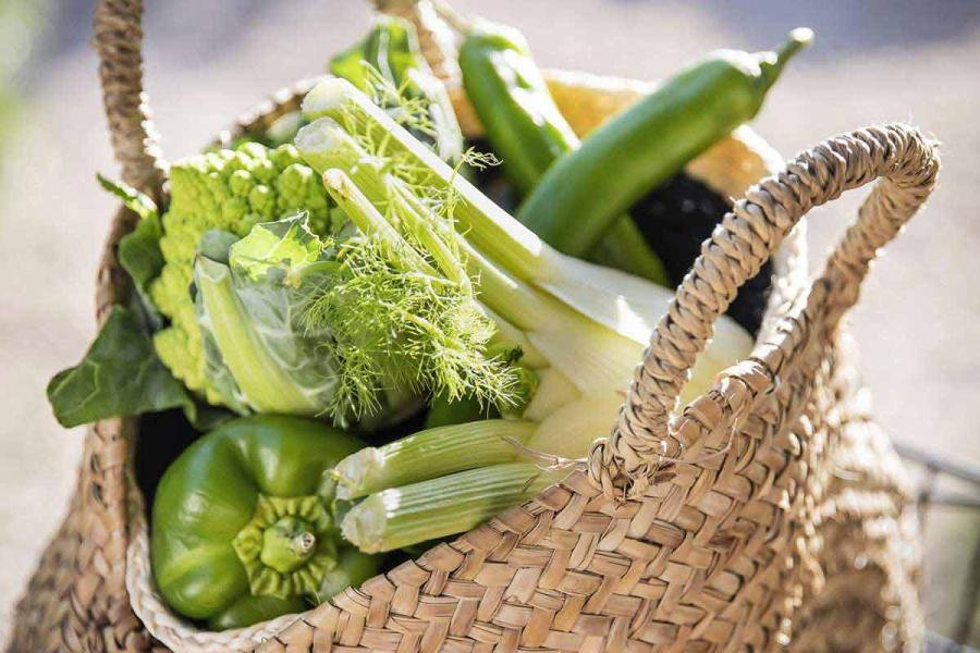 Que cuisiner à la plancha ?