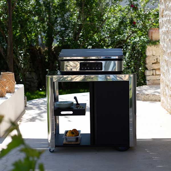 quel chariot plancha choisir