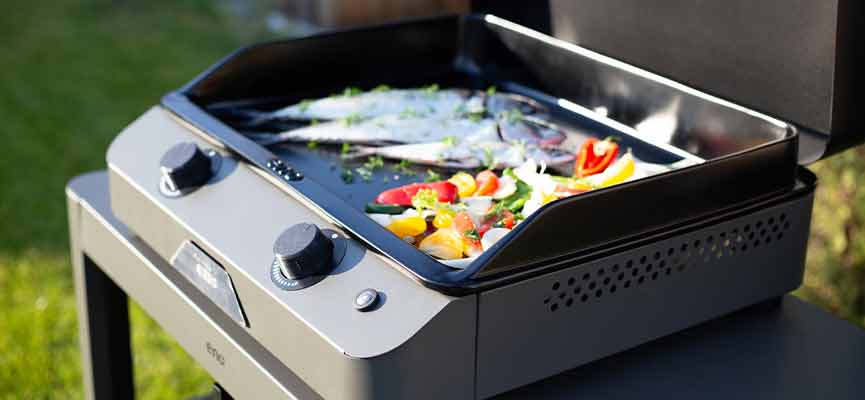 que faire a la plancha